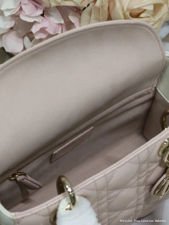 Tony Luxuries LADY DI0R-20CM 0717